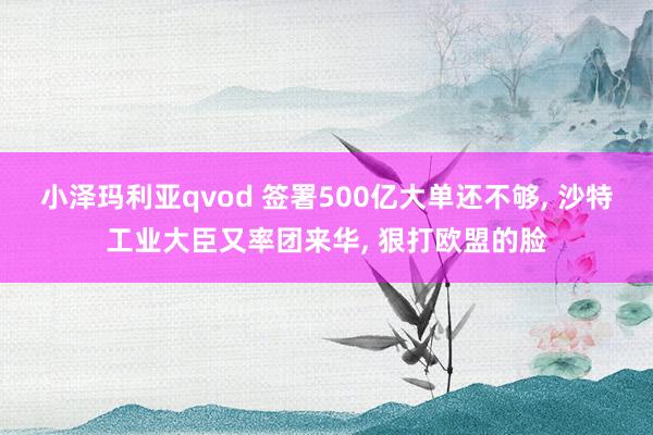 小泽玛利亚qvod 签署500亿大单还不够， 沙特工业大臣又率团来华， 狠打欧盟的脸