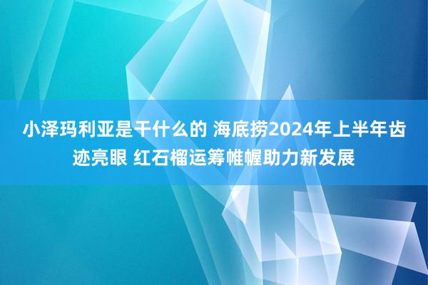 小泽玛利亚是干什么的 海底捞2024年上半年齿迹亮眼 红石榴运筹帷幄助力新发展