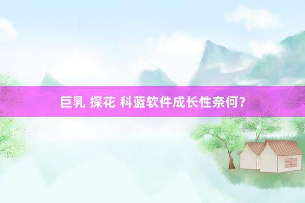 巨乳 探花 科蓝软件成长性奈何？