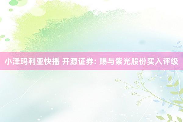 小泽玛利亚快播 开源证券: 赐与紫光股份买入评级