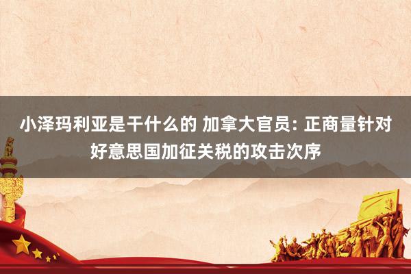 小泽玛利亚是干什么的 加拿大官员: 正商量针对好意思国加征关税的攻击次序