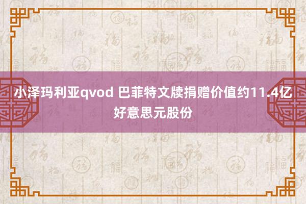 小泽玛利亚qvod 巴菲特文牍捐赠价值约11.4亿好意思元股份