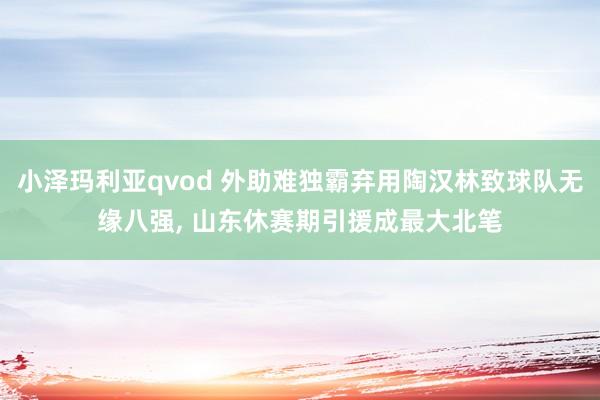 小泽玛利亚qvod 外助难独霸弃用陶汉林致球队无缘八强， 山东休赛期引援成最大北笔