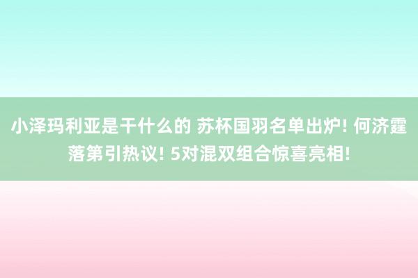 小泽玛利亚是干什么的 苏杯国羽名单出炉! 何济霆落第引热议! 5对混双组合惊喜亮相!