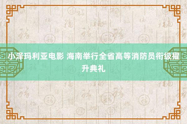 小泽玛利亚电影 海南举行全省高等消防员衔级擢升典礼
