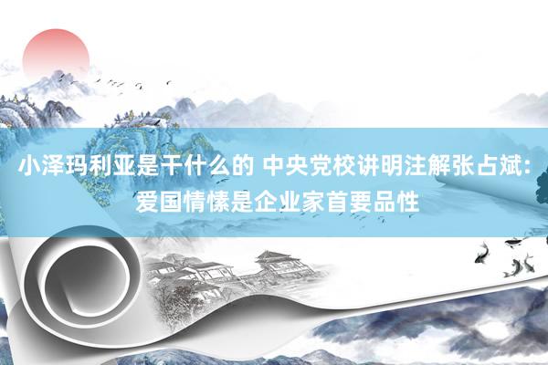 小泽玛利亚是干什么的 中央党校讲明注解张占斌: 爱国情愫是企业家首要品性